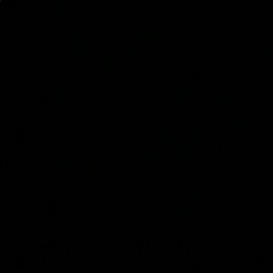 Meet your Posher, Fabian